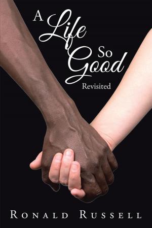 Book cover of A Life so Good Revisited