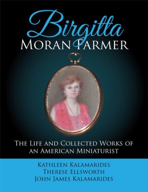 Cover of the book Birgitta Moran Farmer by Nino E. Green