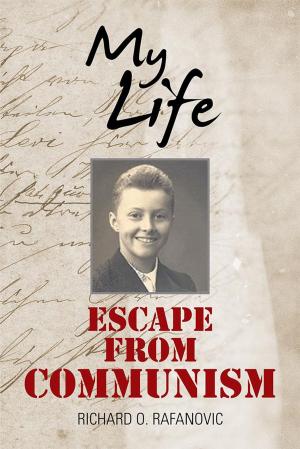 Cover of the book My Life by Mati Gomoll
