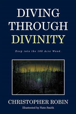 Cover of the book Diving Through Divinity by Mary Burton King