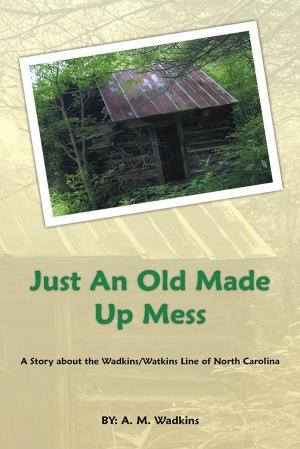 Cover of the book Just an Old Made up Mess by Nancy McCarthy