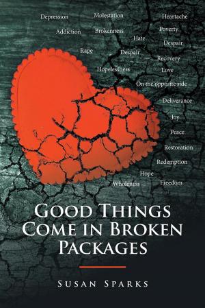Book cover of Good Things Come in Broken Packages