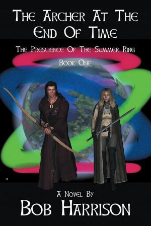 Cover of the book The Archer at the End of Time by J.R. Slimpot