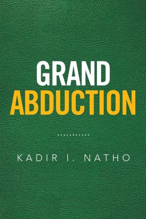 Cover of the book Grand Abduction by David Tinling
