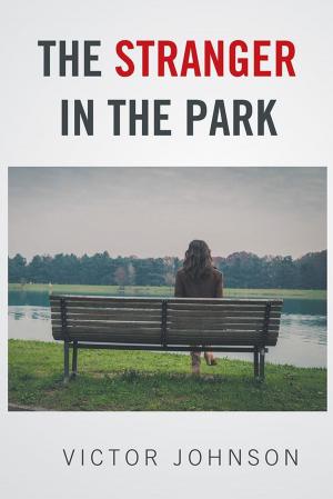 Cover of the book The Stranger in the Park by Josina M. van der Maas