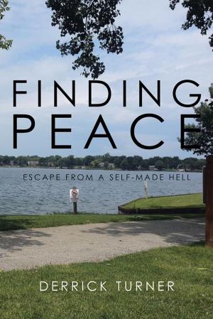 Cover of the book Finding Peace by Amethyst E. Manual