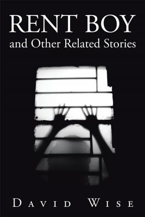 Book cover of Rent Boy and Other Related Stories