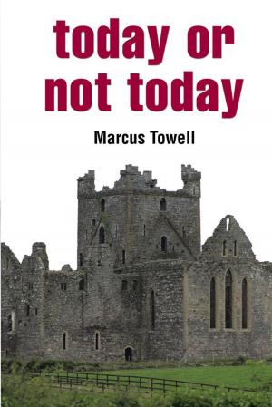 Cover of the book Today or Not Today by Melandra H. Roberts