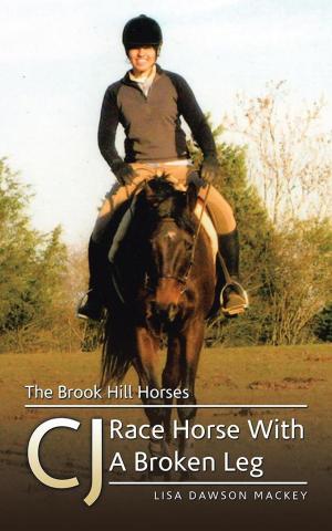 Cover of the book The Brook Hill Horses by Rosemary Kendall