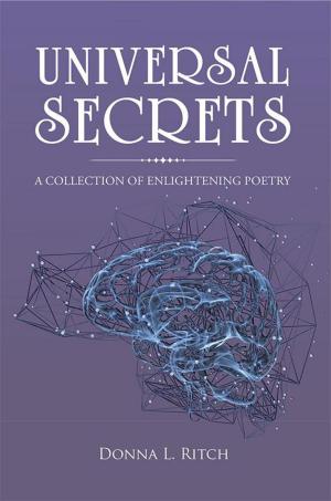 Cover of the book Universal Secrets by Dr. Badal W. Kariye