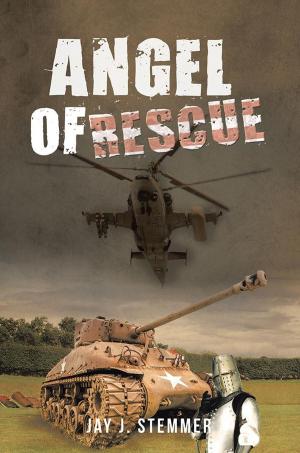 Cover of the book Angel of Rescue by Mikell L. Murphy