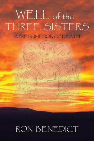 Cover of the book Well of the Three Sisters by Eric M. Daniels