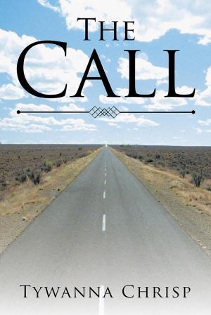 Cover of the book The Call by Barrington Aaron Price