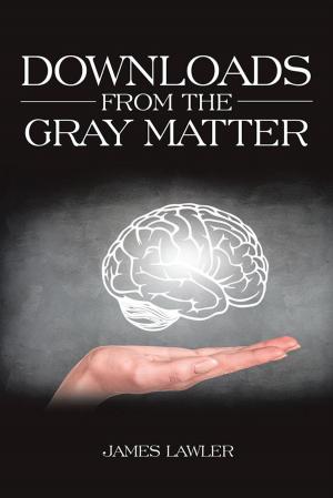 Cover of the book Downloads from the Gray Matter by Lendy E. Demetrius
