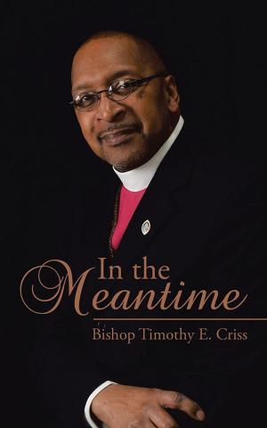 Cover of the book In the Meantime by Conner McCue