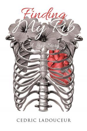 Cover of the book Finding My Rib by Maura Burd