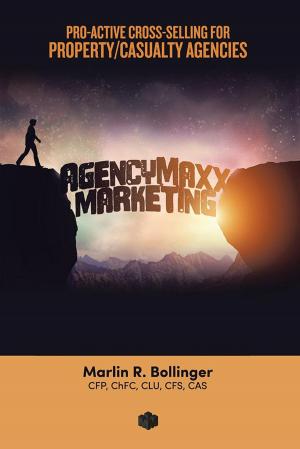 Cover of the book Agencymaxx Marketing by Frosty Wooldridge