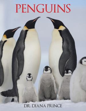 Cover of the book Penguins by Carlen VanGronigen