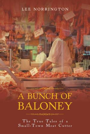 Cover of the book A Bunch of Baloney by E.M. Albano