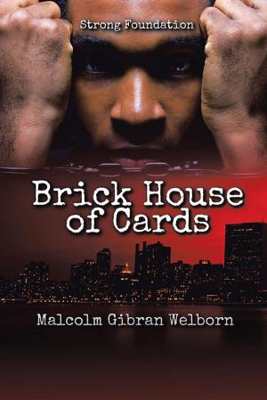 Cover of the book Brick House of Cards by Suzanne DeKeyzer