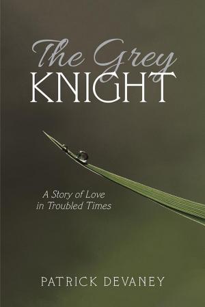 Cover of the book The Grey Knight by Thorey Kristin Thorisdottir