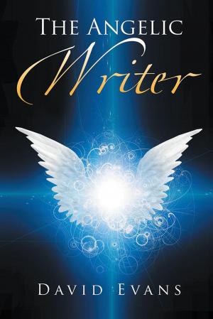 bigCover of the book The Angelic Writer by 