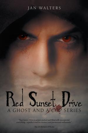 Book cover of Red Sunset Drive