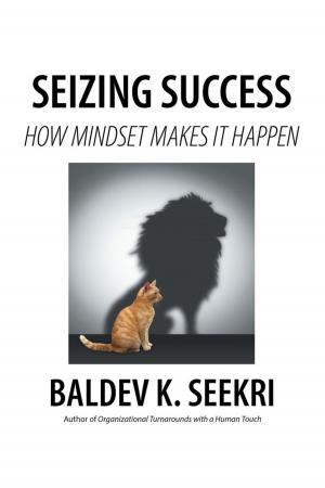 Cover of the book Seizing Success by Dr. George A. Baker III