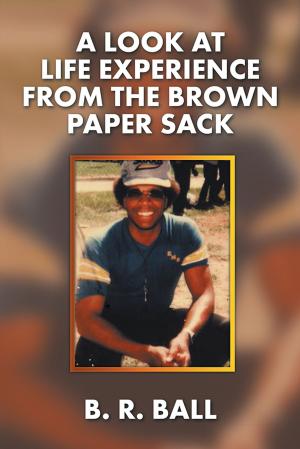 Cover of the book A Look at Life Experience from the Brown Paper Sack by Romell Broom