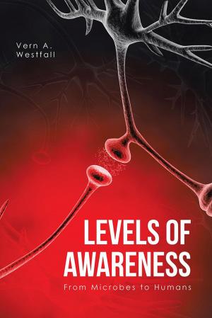 Cover of the book Levels of Awareness by Jane Nielsen
