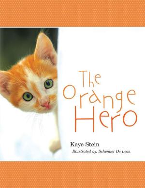 Cover of the book The Orange Hero by Nancy Rubin