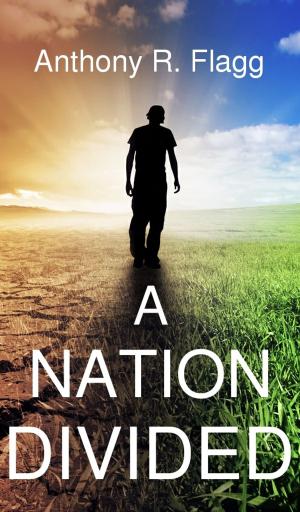 Cover of the book A Nation Divided by John Foll