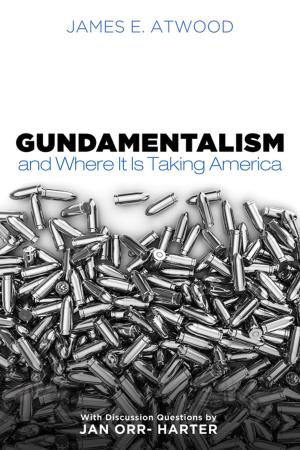 Cover of the book Gundamentalism and Where It Is Taking America by Eric Faye
