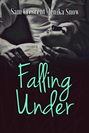 Cover of the book Falling Under by Rob Vagle