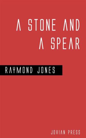 Cover of the book A Stone and a Spear by J.F. Bone