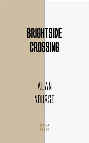 Book cover of Brightside Crossing