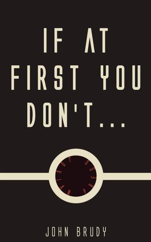 Cover of the book If at First You Don't by Donald Wandrei