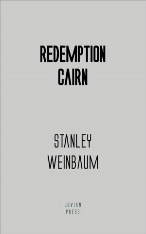 Cover of the book Redemption Cairn by Pauline Ashwell