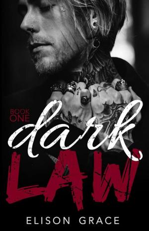 Cover of the book Dark Law Book One by Kiersten Fay