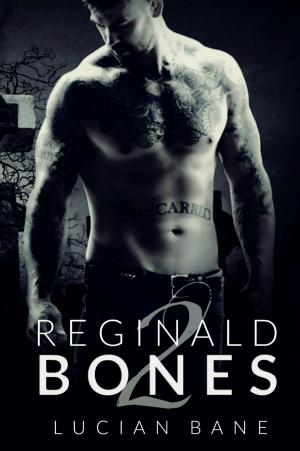 Book cover of Reginald Bones 2