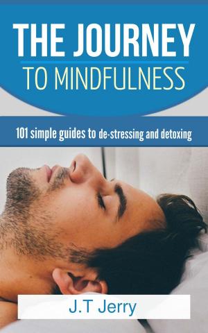 Cover of the book THE JOURNEY TO MINDFULNESS by Mary C. Blowers