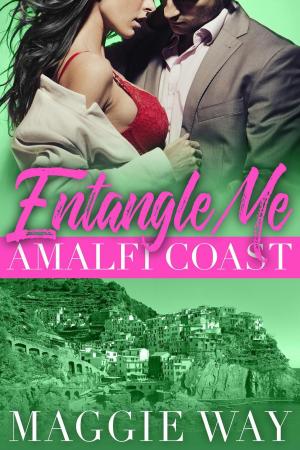 Cover of the book Amalfi Coast by Sierra Cartwright