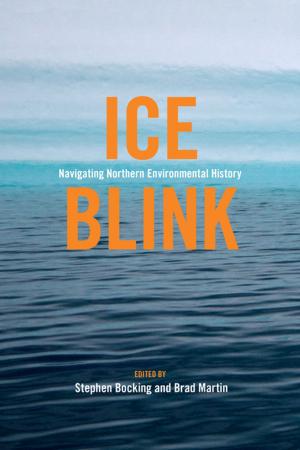 Book cover of Ice Blink