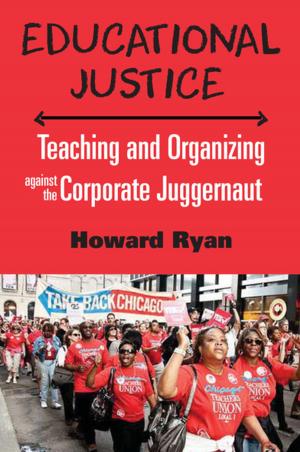 Cover of the book Educational Justice by Nancy Stout