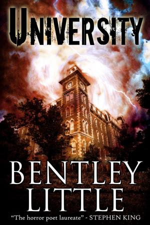 bigCover of the book University by 