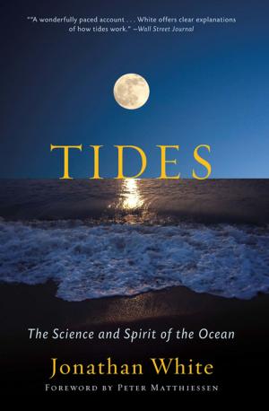 Cover of the book Tides by Dean Young, Christopher Merrill, Marvin Bell, Tomaz Salamun, Simone Inguanez, Istvan Laszlo Geher, Ksenia Golubovich