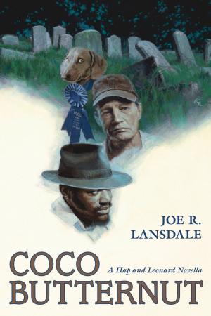 Book cover of Coco Butternut