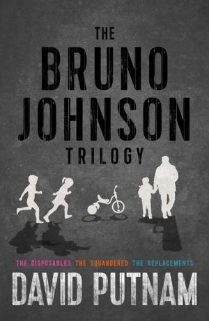 Cover of the book The Bruno Johnson Trilogy by Matt Coyle