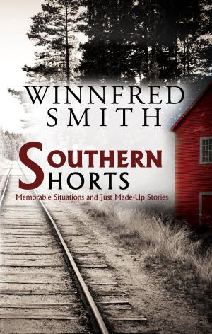 Book cover of Southern Shorts