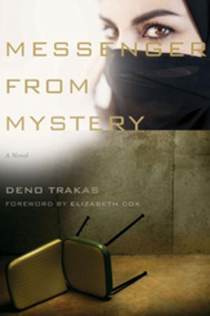 Cover of the book Messenger from Mystery by David Hollenberg